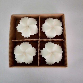 Gift Set-7: Daisy Floater Candle Set